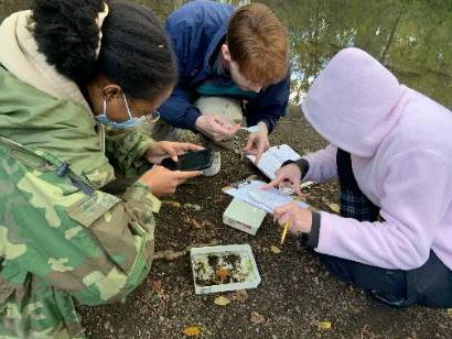 students-in-fieldwork